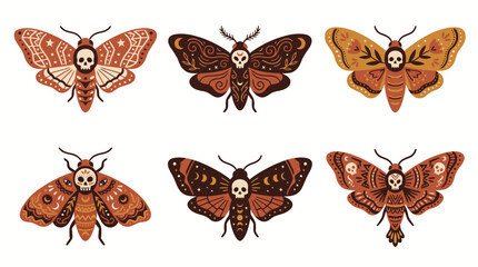 Set of six detailed death head moth illustrations with skull patterns on wings isolated on white background © Ashok