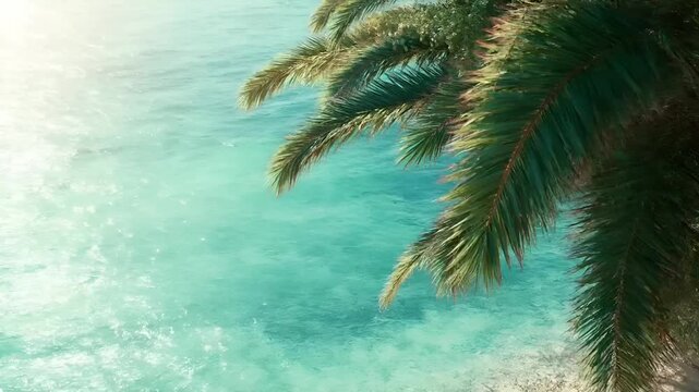 Summer hot vibe lifestyle. A vivid portrayal of a tropical beach scene. The main subject is a closeup of a palm tree with its long, slender fronds swaying gently in the breeze.
