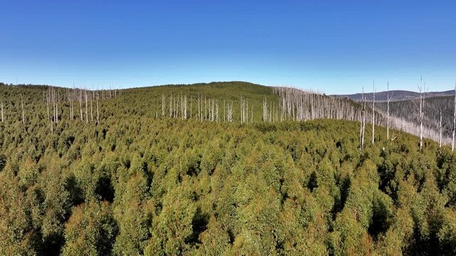 Spectacular aerial footage from Keppel Lookout Marysville Victoria Australia