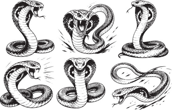 A set of snakes and cobras. Hand drawn vector illustration