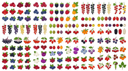 A vast assortment of colorful berry illustrations showcases various types of fruit, including raspberries, blueberries, currants, and gooseberries, perfect for dietary and recipe designs. © Mosammat