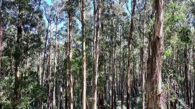 Cinematic 4K aerial footage of Rubicon Victoria Australia