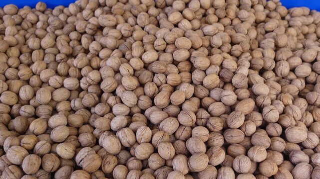 A high-angle static shot showcasing large pile of walnuts on blue surface with natural light casting soft shadows