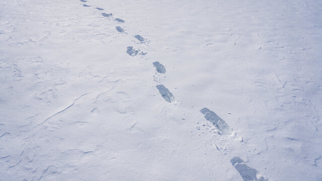 Step along frozen pathway. Step impressions in winter snow. Footstep on frosty path. Snow steps forward outdoors. Step pattern on winter walkway.