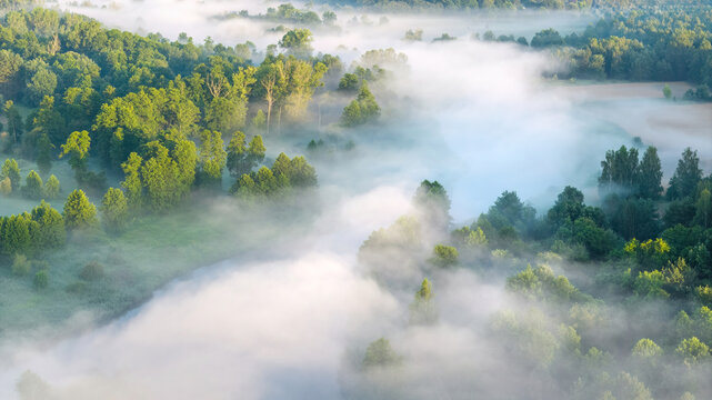 High view of fog over trees