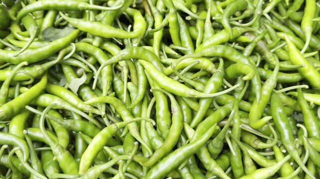 Close-up Full HD footage of fresh green chili peppers piled together at a vegetable market, showing spicy raw produce texture for cooking, grocery, farming, harvest and healthy food background scene.
