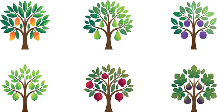 Fruit trees vector illustration set with mango pear plum lime pomegranate and fig icons for agriculture and nature logo design