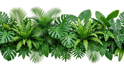 Lush Tropical Foliage Border Isolated on Transparent PNG Background, Monstera Palm Fronds and Fern Leaves Greenery Cutout Banner © PNG CREATOR