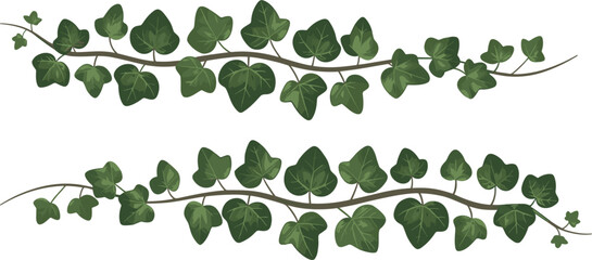 Green ivy vines vector illustration set, climbing plant branches with green leaves border design © Afsana