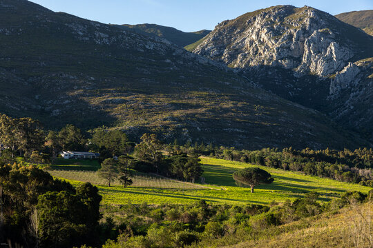 farm land at sunset, Klein mountains in background,  Stanford, South Africa