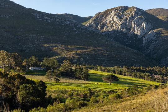 farm land at sunset, Klein mountains in background,  Stanford, South Africa