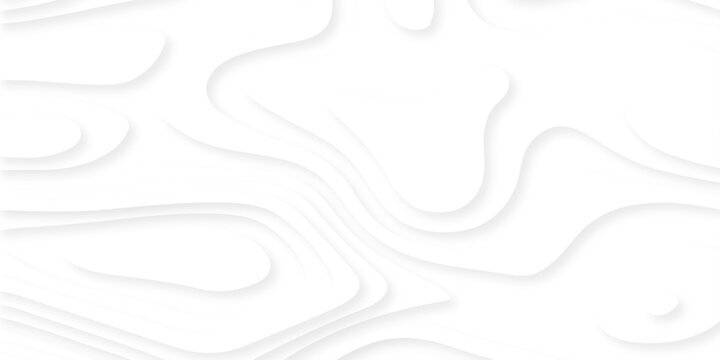 Realistic white papercut web business decoration textured wavy layers. abstract luxury vector gradient papercut geometric pattern banner website template wallpaper.