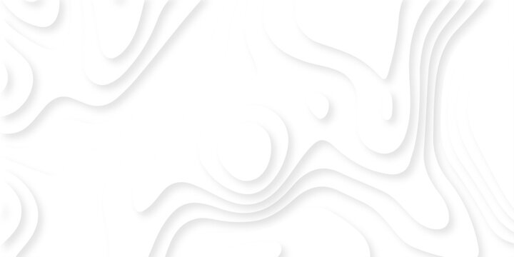 Realistic white papercut web business decoration textured wavy layers. abstract luxury vector gradient papercut geometric pattern banner website template wallpaper.