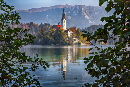 Sunny day view on popular tourist destination  Bled lake.