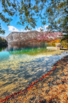 Stunning view  of  Bohinj Lake at autumn time.