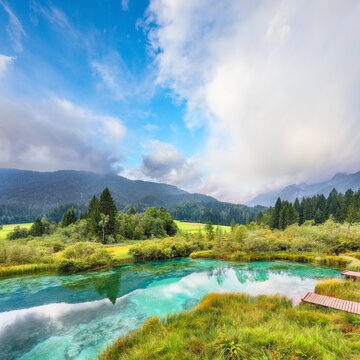 Gorgeous summer view on Zelenci lake with beautiful reflections in water.