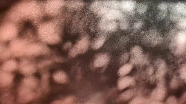 Soft dappled sunlight and leaf shadows falling gracefully on a warm brown textured leather surface