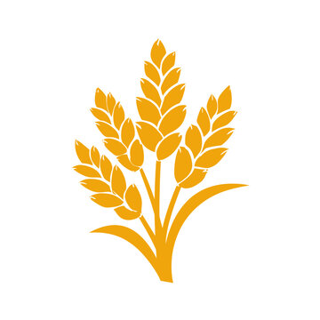 Golden Wheat Grain Stalk Icon Isolated