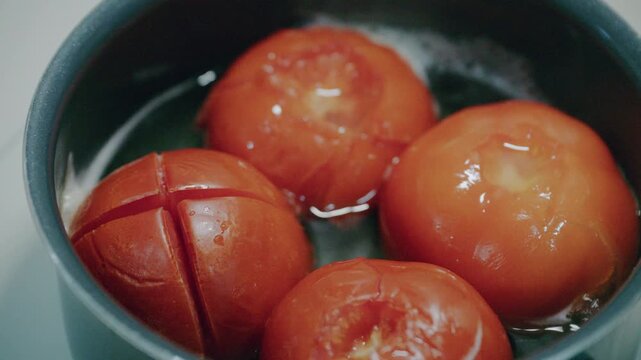 Boiling fresh red tomatoes with cross cut skin in hot water for peeling and making tomato sauce.