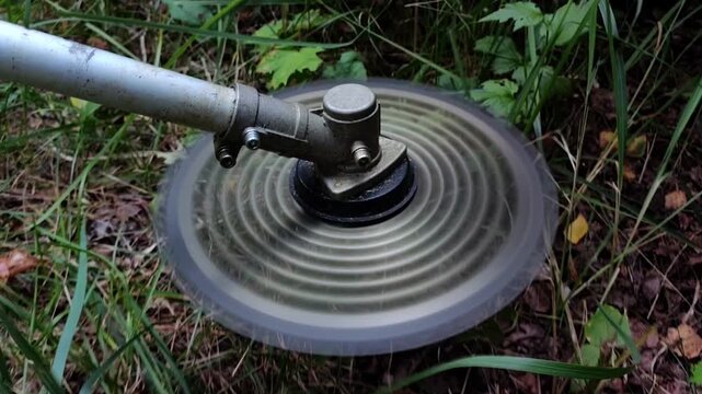Brush cutter cutting head spinning through tall green grass, garden maintenance, landscaping work, outdoor equipment, summer season.