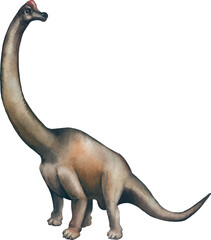 Illustrated Brachiosaurus Dinosaur Isolated © rey
