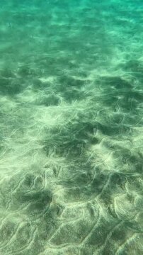 Glistening sunlight creating caustic patterns on a rippled sandy bottom under clear, tranquil turquoise water, creating a serene and beautiful abstract natural marine background