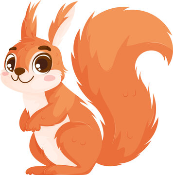 A cartoon squirrel with a fluffy bushy tail sitting calmly and smiling, featuring big eyes and an adorable expression on a white background.