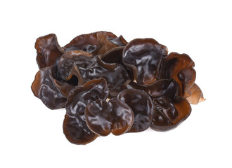 ear mushroom on white background © wealthy lady