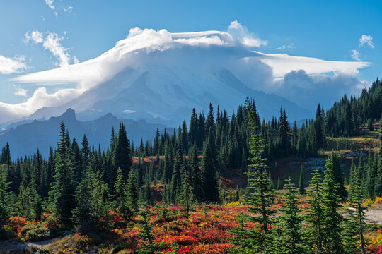 Autumn at Naches Peak Loop: Mount Rainier and Lenticular Clouds Above Tipsoo Lake Meadows