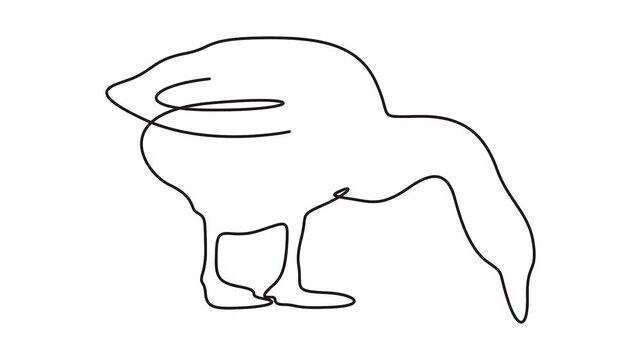 Goose feeding continuous line drawing animation for farm animal concepts. Goose feeding line art animation for agricultural and wildlife concepts.