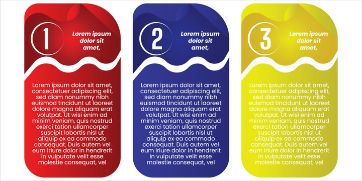 Modern 3 Step Vertical Infographic Template with Wave Divider, Business Workflow, Presentation Layout and Colorful Vector Design