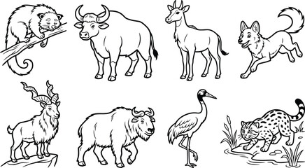 Fototapeta premium Wild Animal Outline Collection Featuring Mammals and Bird Hand Drawn Vector Illustration Set