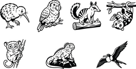Obraz premium Exotic Wildlife Vector Collection with Kiwi, Owl, Numbat, Sloth, Tarsier, Iguana and Swallow