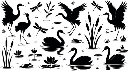 Black silhouette set of cranes swans dragonflies frogs water lilies and reeds isolated on white background vector illustration © Rashida