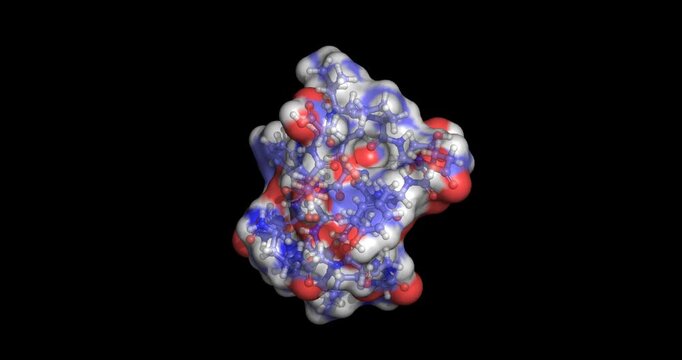 Bivalirudin, direct thrombin inhibitor anticoagulant for cardiovascular procedures, 3D molecule spinning, 4K