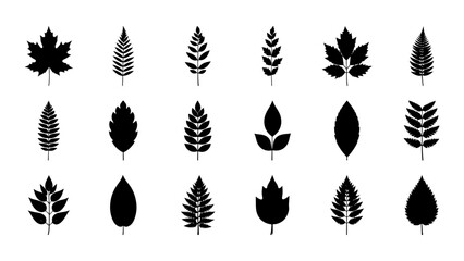 Obraz premium Collection of Various Leaf Silhouettes for Design Projects.