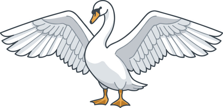 Graceful white swan vector illustration featuring a majestic mute swan with wide open outspread wings standing isolated on white background