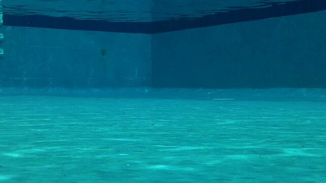 Underwater Pool Scene