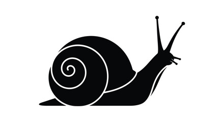 Black snail crawling on plain background © MOHAMMAD ALI