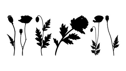 Naklejka premium Silhouette of Various Wildflowers and Plants in Black.