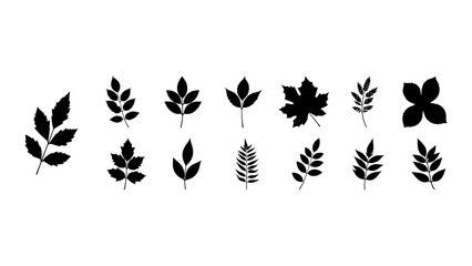 Obraz premium Collection of Various Leaf Silhouettes for Design Projects.