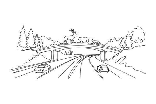 A continuous line drawing of a wildlife crossing bridge over a highway.
