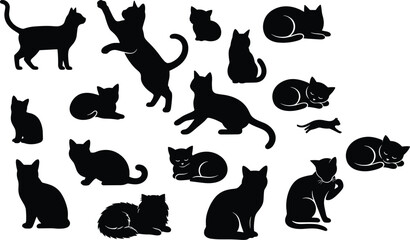 Black silhouette vector illustrations of cats in diverse poses including sitting, lying, stretching, walking, and playing symbolizing feline behavior © SHANJIDA