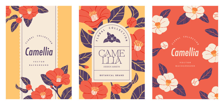 Camellia flower book cover and poster background design set