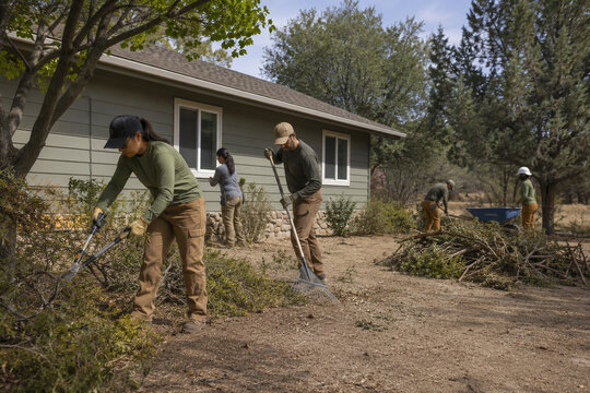 Clearing Dry Brush Around a Rural Home