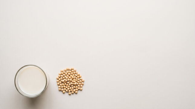 Soybeans And Korean Soybean Broth Flat Lay
