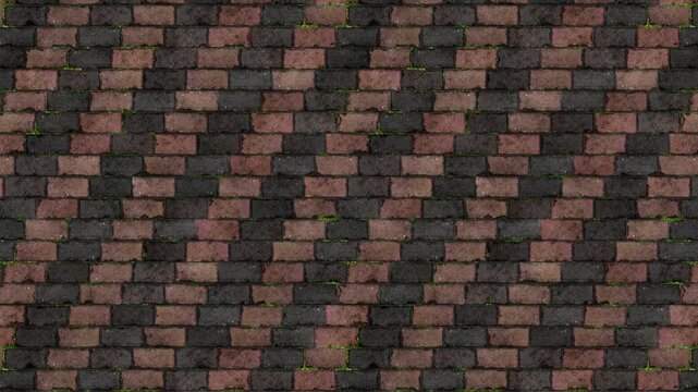 Weathered Paving Stones with Green Moss, Seamless Loop Background