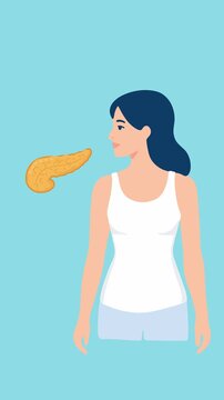 woman with pancreas anatomy medical illustration