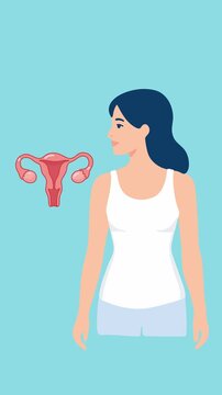 Animation of uterine pain female reproductive system