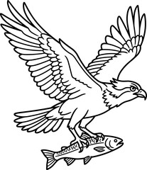 Fototapeta premium Black and white line art illustration of an osprey bird catching a fish.